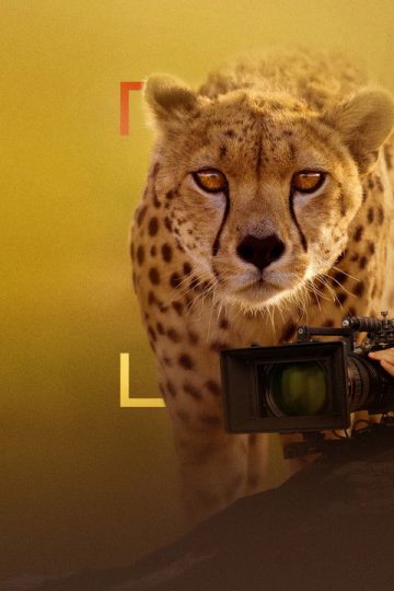 Cheetahs Up Close with Bertie Gregory (2026)