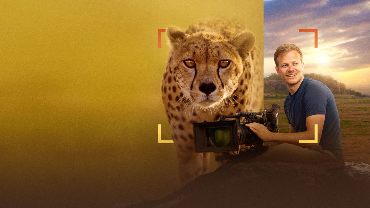 Cheetahs Up Close with Bertie Gregory (2026)