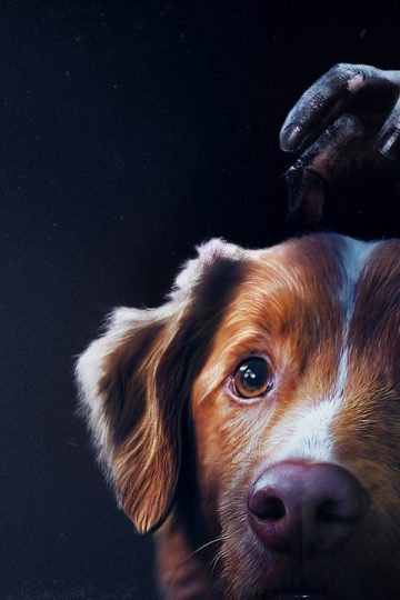 Good Boy (2025)