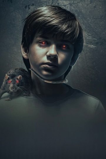 The Confession (2026)